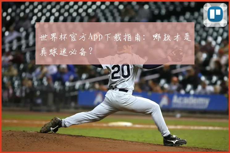 世界杯官方App下载指南：哪款才是真球迷必备？