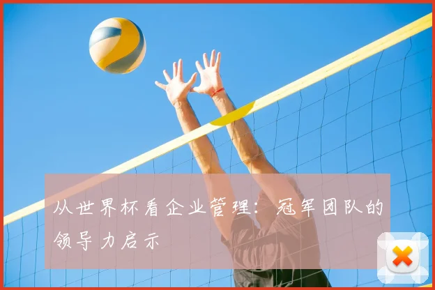从世界杯看企业管理：冠军团队的领导力启示